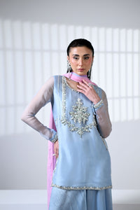 Frozen Blue