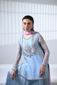 Frozen Blue